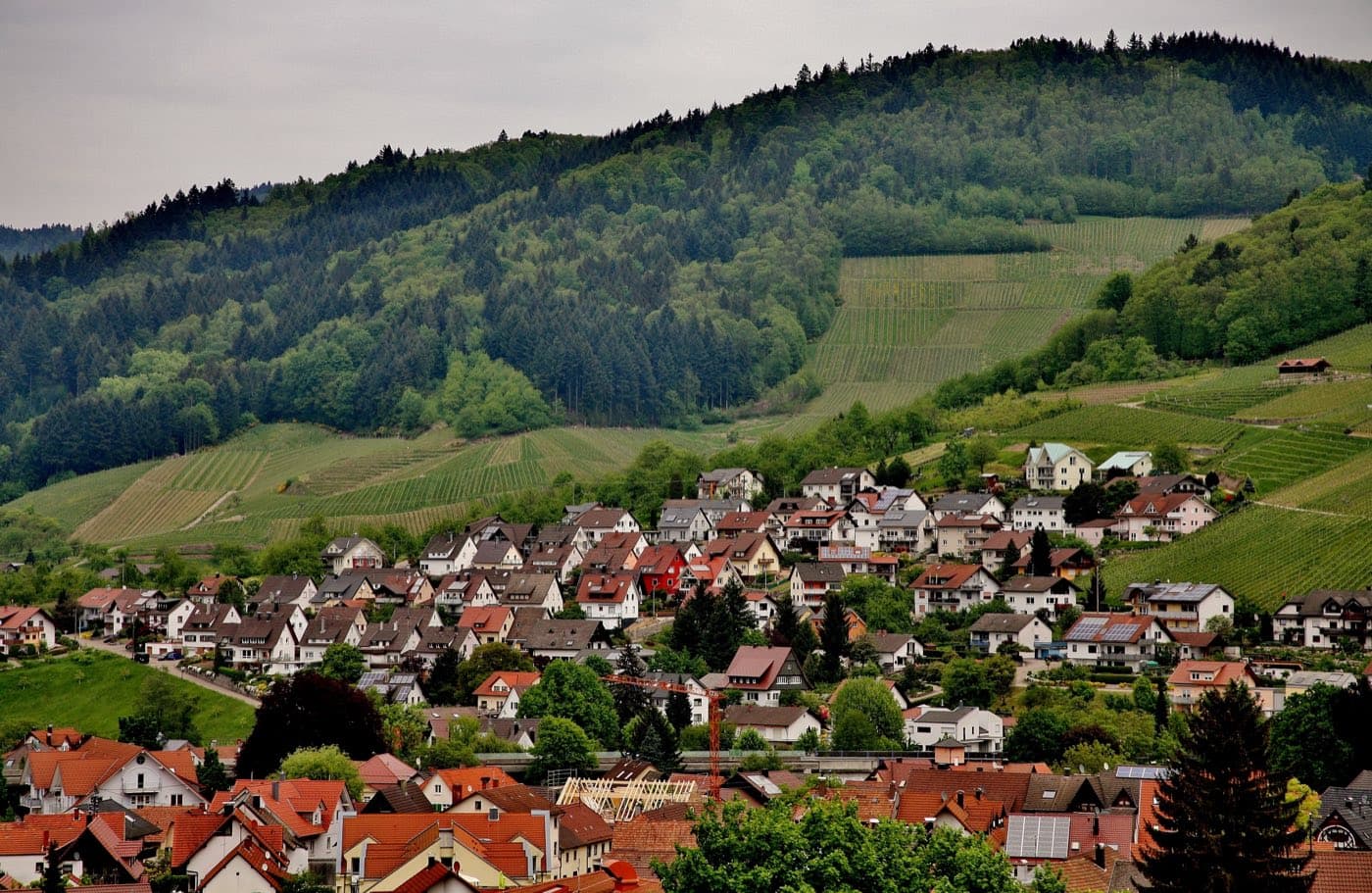 Wohnort mit Ein- und Mehrfamilienhäusern und Weinbergen in der Region Stuttgart